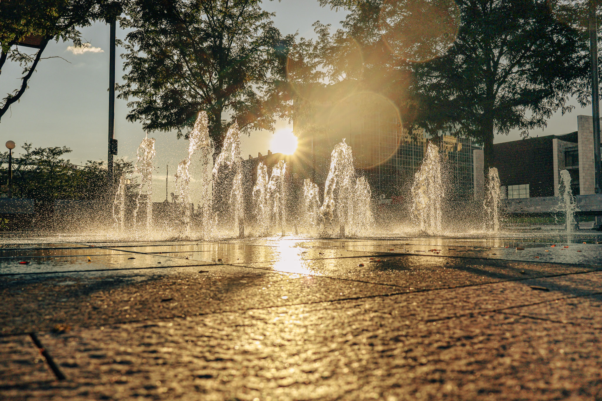 Golden hour light breaks through the trees, illuminating the fountain spray and reflecting across the pavement to create a layered cityscape full of motion, texture, and warmth.
